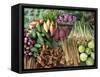 Vegetables for Sale in a Market in Laos, Indochina, Southeast Asia-Tim Hall-Framed Stretched Canvas