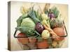 Vegetables, Fruit and Bread in Basket-Frank Adam-Stretched Canvas