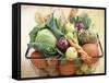 Vegetables, Fruit and Bread in Basket-Frank Adam-Framed Stretched Canvas