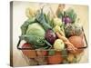 Vegetables, Fruit and Bread in Basket-Frank Adam-Stretched Canvas