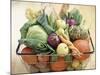 Vegetables, Fruit and Bread in Basket-Frank Adam-Mounted Photographic Print