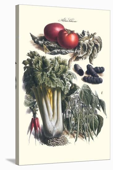 Vegetables; Green Beans, Purple Sweet Potato, and Tomato-Philippe-Victoire Leveque de Vilmorin-Stretched Canvas