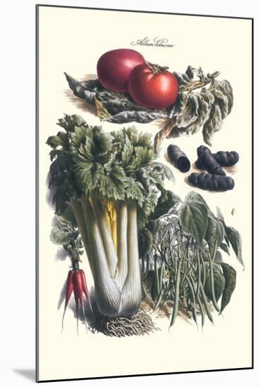 Vegetables; Green Beans, Purple Sweet Potato, and Tomato-Philippe-Victoire Leveque de Vilmorin-Mounted Art Print