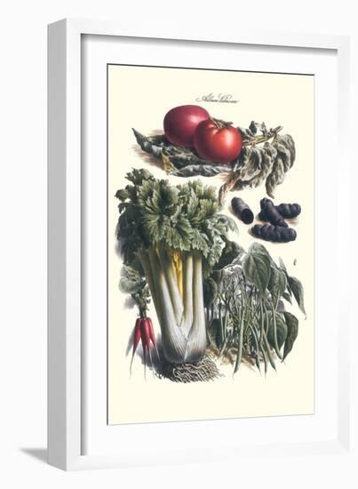 Vegetables; Green Beans, Purple Sweet Potato, and Tomato-Philippe-Victoire Leveque de Vilmorin-Framed Art Print