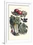 Vegetables; Green Beans, Purple Sweet Potato, and Tomato-Philippe-Victoire Leveque de Vilmorin-Framed Art Print
