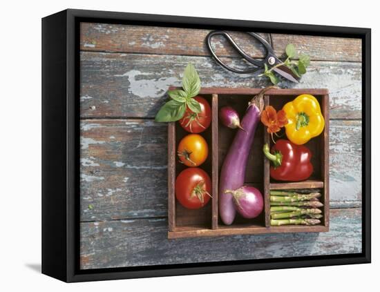 Vegetables in Wooden Crate-James Carrier-Framed Stretched Canvas