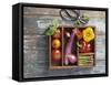 Vegetables in Wooden Crate-James Carrier-Framed Stretched Canvas