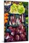 Vegetables including radicchio for sale, Viktualienmakt (Market), Old Town, Munich, Bavaria-Richard Maschmeyer-Mounted Photographic Print