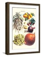 Vegetables; Lettuce, Persimmon, Turnip, Potato, Pumpkin, Strawberries, and Legumes-Philippe-Victoire Leveque de Vilmorin-Framed Art Print