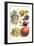 Vegetables; Lettuce, Persimmon, Turnip, Potato, Pumpkin, Strawberries, and Legumes-Philippe-Victoire Leveque de Vilmorin-Framed Art Print