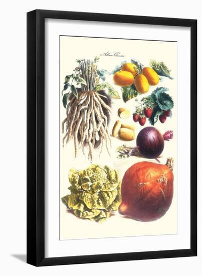 Vegetables; Lettuce, Persimmon, Turnip, Potato, Pumpkin, Strawberries, and Legumes-Philippe-Victoire Leveque de Vilmorin-Framed Art Print