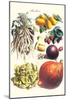 Vegetables; Lettuce, Persimmon, Turnip, Potato, Pumpkin, Strawberries, and Legumes-Philippe-Victoire Leveque de Vilmorin-Mounted Art Print
