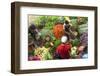 Vegetables, Market, Matara, South coast, Sri Lanka-Peter Adams-Framed Photographic Print