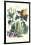 Vegetables; Melon, Lettuce, Green Beans, and Turnips-Philippe-Victoire Leveque de Vilmorin-Framed Art Print