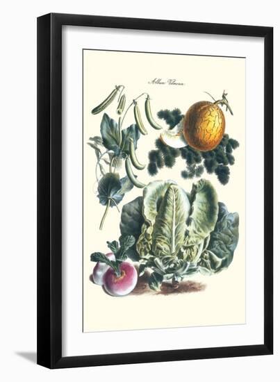 Vegetables; Melon, Lettuce, Green Beans, and Turnips-Philippe-Victoire Leveque de Vilmorin-Framed Art Print