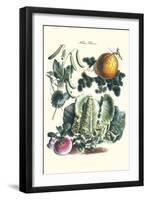 Vegetables; Melon, Lettuce, Green Beans, and Turnips-Philippe-Victoire Leveque de Vilmorin-Framed Art Print