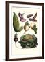 Vegetables; Melon, Onion, Cabbage, Potato, Raddish-Philippe-Victoire Leveque de Vilmorin-Framed Art Print