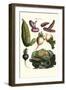 Vegetables; Melon, Onion, Cabbage, Potato, Raddish-Philippe-Victoire Leveque de Vilmorin-Framed Art Print