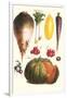 Vegetables: Melon, Purple Carrot, Cherry Tomatoes, Onions, Turnip, Leek-Philippe-Victoire Leveque de Vilmorin-Framed Art Print