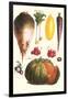 Vegetables: Melon, Purple Carrot, Cherry Tomatoes, Onions, Turnip, Leek-Philippe-Victoire Leveque de Vilmorin-Framed Art Print