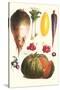 Vegetables: Melon, Purple Carrot, Cherry Tomatoes, Onions, Turnip, Leek-Philippe-Victoire Leveque de Vilmorin-Stretched Canvas