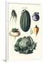 Vegetables; Melon, Turnip, Lettuce, Cabbage,-Philippe-Victoire Leveque de Vilmorin-Framed Art Print