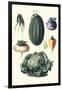 Vegetables; Melon, Turnip, Lettuce, Cabbage,-Philippe-Victoire Leveque de Vilmorin-Framed Art Print