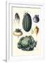 Vegetables; Melon, Turnip, Lettuce, Cabbage,-Philippe-Victoire Leveque de Vilmorin-Framed Art Print