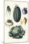 Vegetables; Melon, Turnip, Lettuce, Cabbage,-Philippe-Victoire Leveque de Vilmorin-Mounted Art Print