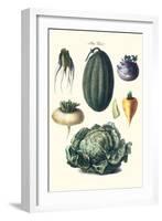 Vegetables; Melon, Turnip, Lettuce, Cabbage,-Philippe-Victoire Leveque de Vilmorin-Framed Art Print