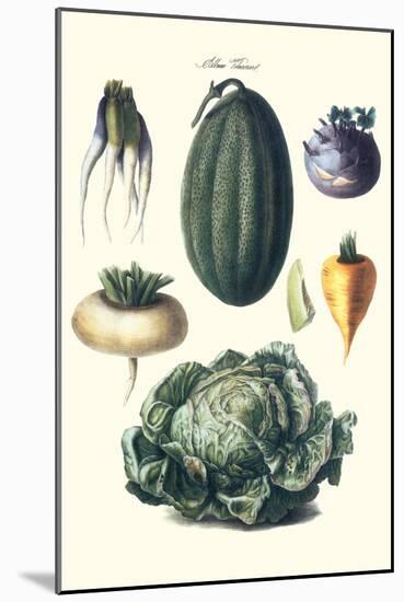 Vegetables; Melon, Turnip, Lettuce, Cabbage,-Philippe-Victoire Leveque de Vilmorin-Mounted Art Print