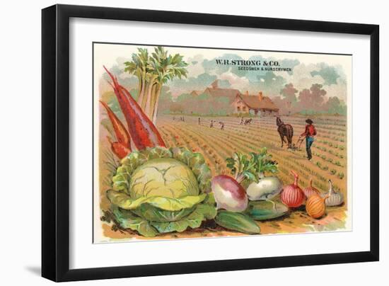 Vegetables, Old Fashioned Farm-null-Framed Art Print