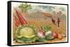 Vegetables, Old Fashioned Farm-null-Framed Stretched Canvas