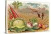 Vegetables, Old Fashioned Farm-null-Stretched Canvas