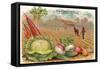 Vegetables, Old Fashioned Farm-null-Framed Stretched Canvas
