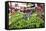 Vegetables on Sale at the Covered Market in Central Valencia, Spain, Europe-David Pickford-Framed Stretched Canvas