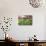 Vegetables on Sale at the Covered Market in Central Valencia, Spain, Europe-David Pickford-Stretched Canvas displayed on a wall