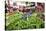 Vegetables on Sale at the Covered Market in Central Valencia, Spain, Europe-David Pickford-Stretched Canvas