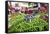 Vegetables on Sale at the Covered Market in Central Valencia, Spain, Europe-David Pickford-Framed Stretched Canvas