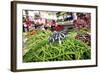 Vegetables on Sale at the Covered Market in Central Valencia, Spain, Europe-David Pickford-Framed Photographic Print