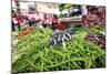 Vegetables on Sale at the Covered Market in Central Valencia, Spain, Europe-David Pickford-Mounted Photographic Print
