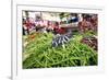 Vegetables on Sale at the Covered Market in Central Valencia, Spain, Europe-David Pickford-Framed Photographic Print