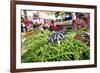 Vegetables on Sale at the Covered Market in Central Valencia, Spain, Europe-David Pickford-Framed Photographic Print