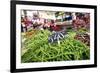 Vegetables on Sale at the Covered Market in Central Valencia, Spain, Europe-David Pickford-Framed Photographic Print