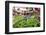 Vegetables on Sale at the Covered Market in Central Valencia, Spain, Europe-David Pickford-Framed Photographic Print