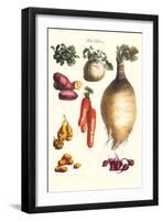 Vegetables; Onion, Potato, Carrot, Roots, Tubers-Philippe-Victoire Leveque de Vilmorin-Framed Art Print