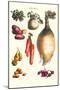 Vegetables; Onion, Potato, Carrot, Roots, Tubers-Philippe-Victoire Leveque de Vilmorin-Mounted Art Print