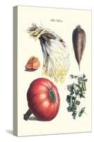 Vegetables; Peas, Melon, Brussel Sprouts, Gourb,-Philippe-Victoire Leveque de Vilmorin-Stretched Canvas