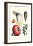 Vegetables; Peas, Melon, Brussel Sprouts, Gourb,-Philippe-Victoire Leveque de Vilmorin-Framed Art Print