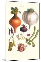 Vegetables; Peas, Onion, Turnip, Raddish, Green Beans-Philippe-Victoire Leveque de Vilmorin-Mounted Art Print